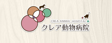 センターヴィル動物病院 Microchip Bonds マイクロチップボンズ マイクロチップ装着に対応する全国の動物病院が見つかる