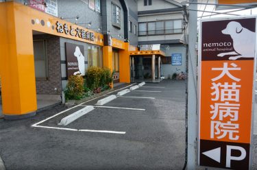 センターヴィル動物病院 Microchip Bonds マイクロチップボンズ マイクロチップ装着に対応する全国の動物病院が見つかる